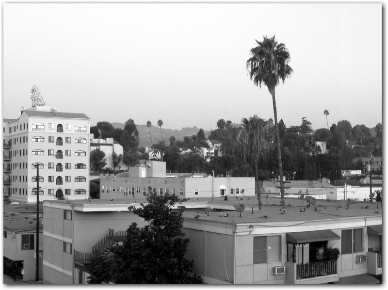 North Hollywood.jpg
